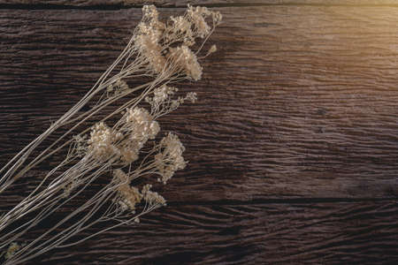 dried flowers on wooden planks background, Abstract holiday frameの写真素材