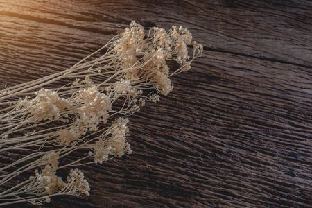 dried flowers on wooden planks background, Abstract holiday frameの写真素材