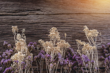 dried flowers on wooden planks background, Abstract holiday frameの写真素材