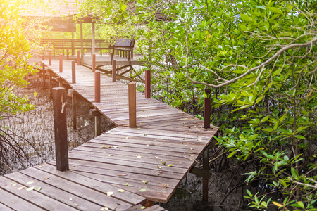 Wooden bridge or Walkway at Mangroves in Tung Prong Thong or Golden Mangrove Field at Estuary Pra Sae, Rayong, Thailandの写真素材