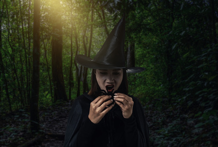 Portrait of woman in black Scary witch halloween costume holding black spider with moonlight in a dark forestの写真素材