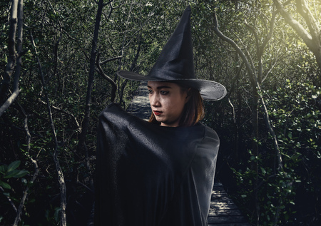 Portrait of woman in black Scary witch halloween costume with moonlight in a dark forestの写真素材