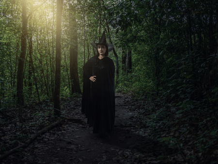 Portrait of woman in black Scary witch halloween costume with moonlight in a dark forestの写真素材