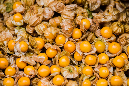 background of Fresh Cape Gooseberry from top viewの写真素材