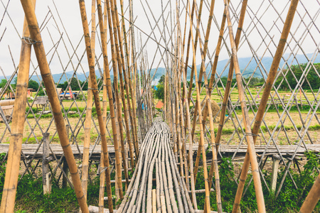 walkway was built from bamboo to walk through on the rice fieldの写真素材
