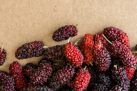 background of organic mulberry fruit, Black ripe and Red unripe on brown cardboardの写真素材
