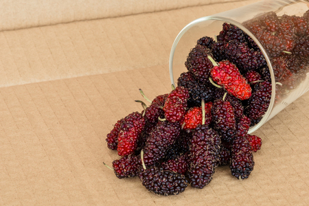 Organic Mulberry fruits in Clear glass on brown cardboard backgroundの写真素材