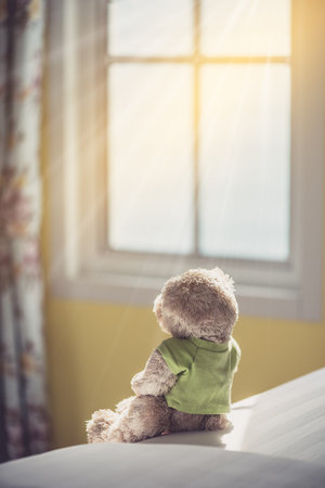 Back view of Lonely doll bears on the bed with window light. Sadness concept in vintage color toneの写真素材