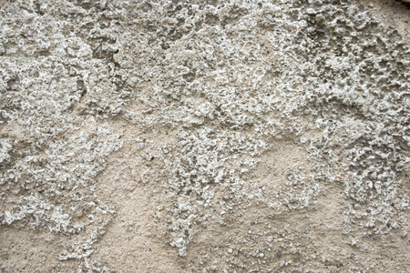 Grey revetment wall putty macro texture backgroundの写真素材