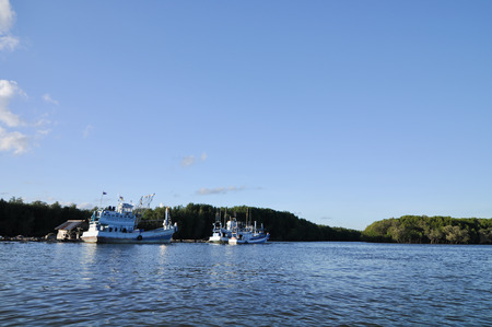 forest at the river estuary and have small boat background is island in clear blue sky day, summer timeの写真素材