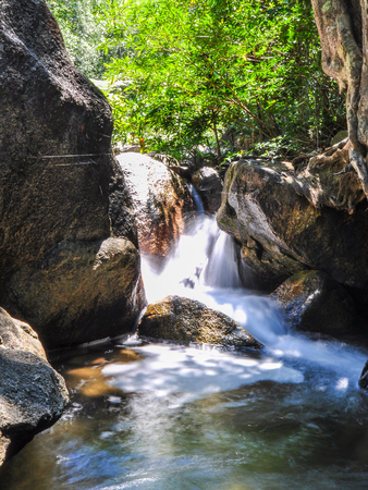 The soft stream is flowing through the rocks,The behind is fresh green forest on clear day and very strong sunshine, Have a cobweb between rock.の写真素材