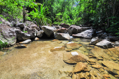 The soft stream is flowing through the rocks,The behind is fresh green forest on clear day and very strong sunshine.の写真素材