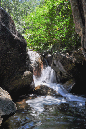 The soft stream is flowing through the rocks,The behind is fresh green forest on clear day and very strong sunshine, Have a cobweb between rock.の写真素材