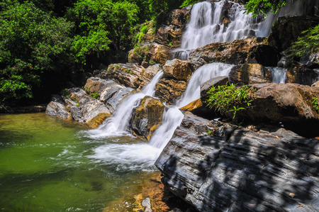 The soft stream is flowing through the rocks,The behind is fresh green forest on clear day and very strong sunshine.の写真素材