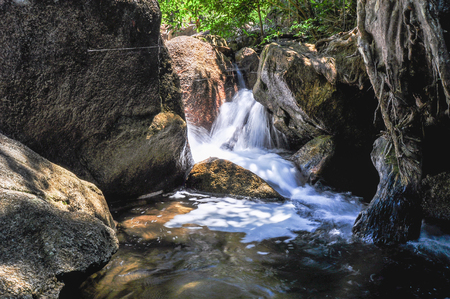 The soft stream is flowing through the rocks,The behind is fresh green forest on clear day and very strong sunshine, Have a cobweb between rock.の写真素材