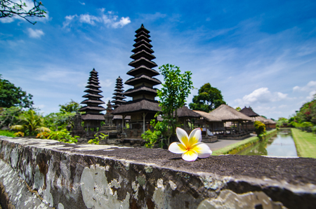 White and yellow Plumeria on rock wall,The blur blackground is bali temple style.の写真素材