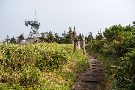 The peaceful and beautiful without people suburb of Japan between the epidemic of COVID-19 or the corona virusのeditorial素材