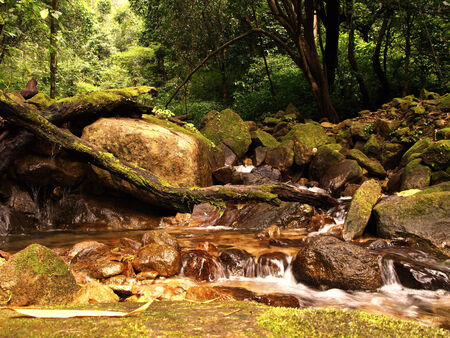 fresh waterfall の写真素材