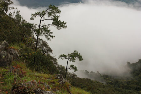 cloud on Mountainsの写真素材