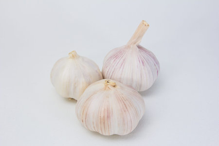 garlic