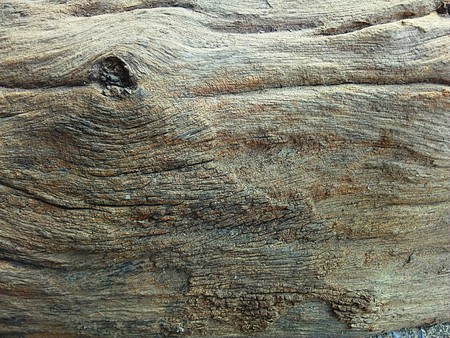 old wood surfaceの写真素材