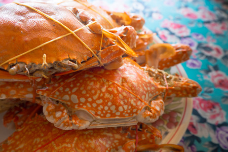 crab stream seafoodの写真素材
