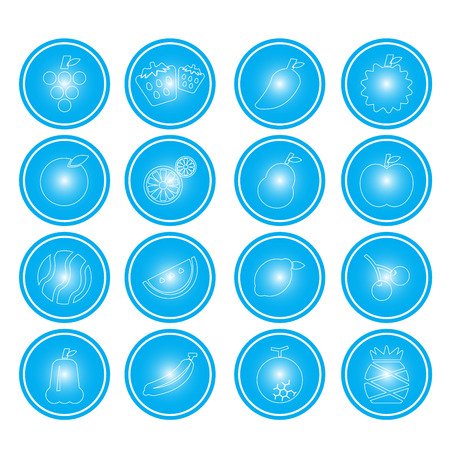 The fruit vector icon  designのイラスト素材