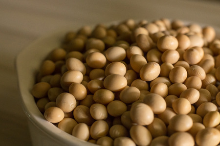 The  soy beans  close up imageの写真素材