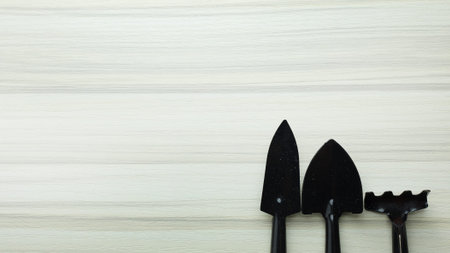 The garden tool  on white wood table flat lay image.の写真素材