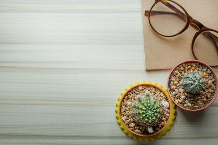 cactus on white wood table flat lay image close up .の写真素材