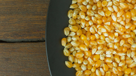 The corn seeds close up background image.の写真素材