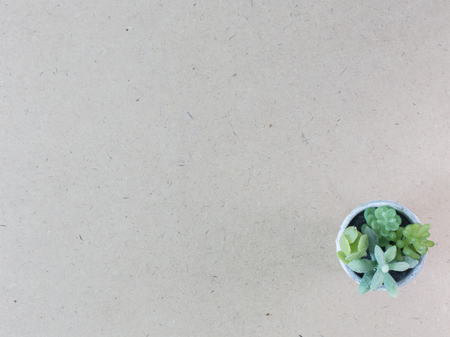 The Cactus flat lay on wood floor background.の写真素材