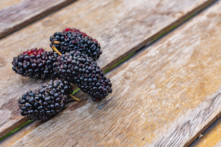mulberry fruit in white bowl on wood table.の写真素材