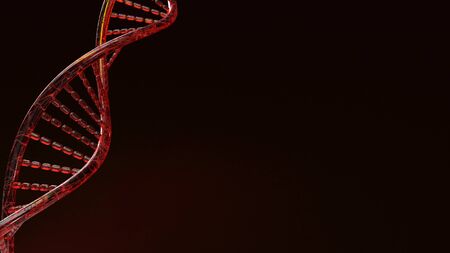 The red Dna 3d rendering on black background for science content.の写真素材