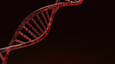 The red Dna 3d rendering on black background for science content.の写真素材