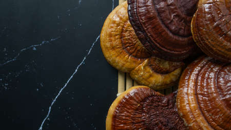 lingzhi mushroom image close up for alternative medicine or medical and health  concept.の写真素材