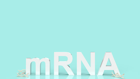 mrna or messenger Ribonucleic Acid white text for medical or outbreak concept 3d rendering