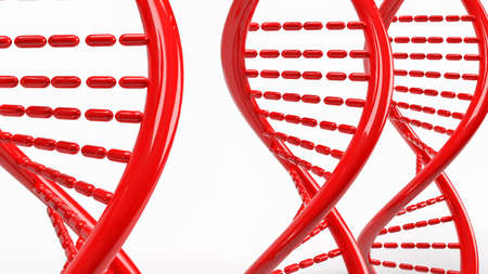 red dna on white background for sci or medical concept 3d renderingの写真素材