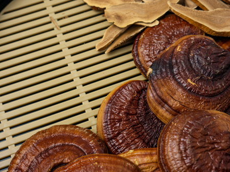 lingzhi is the ancient mushroom of immortality for medical or food concept