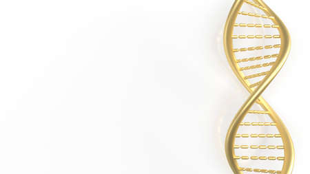 gold dna on white background  for sci or education concept 3d renderingの写真素材