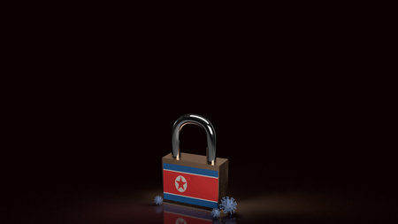 North Korea master key for virus crisis concept 3d rendering