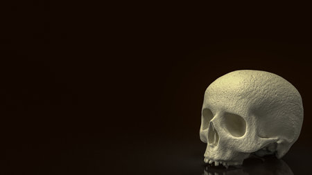 human skull on black background  for education or sci concept 3d renderingの写真素材