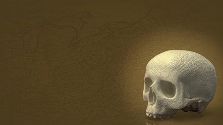 human skull on vintage map for education or sci concept 3d renderingの写真素材