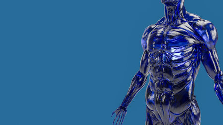 human body muscle on blue background for education or sci concept 3d renderingの写真素材