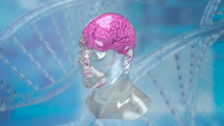 crystal head and brain for sci or education concept 3d renderingの写真素材
