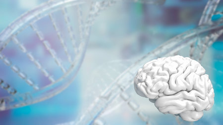 Brain on Dna background for sci or health and medical concept 3d rendering