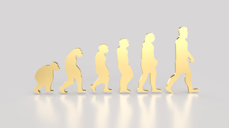 Human evolution image for education or sci concept 3d renderingの写真素材