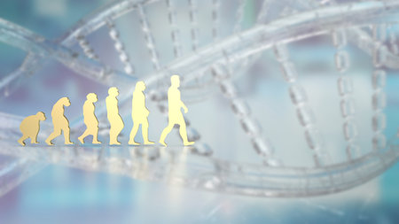 Human evolution image for education or sci concept 3d renderingの写真素材