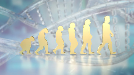 Human evolution image for education or sci concept 3d renderingの写真素材
