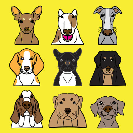 The Dog face vector bundle set for pet or animal conceptのイラスト素材
